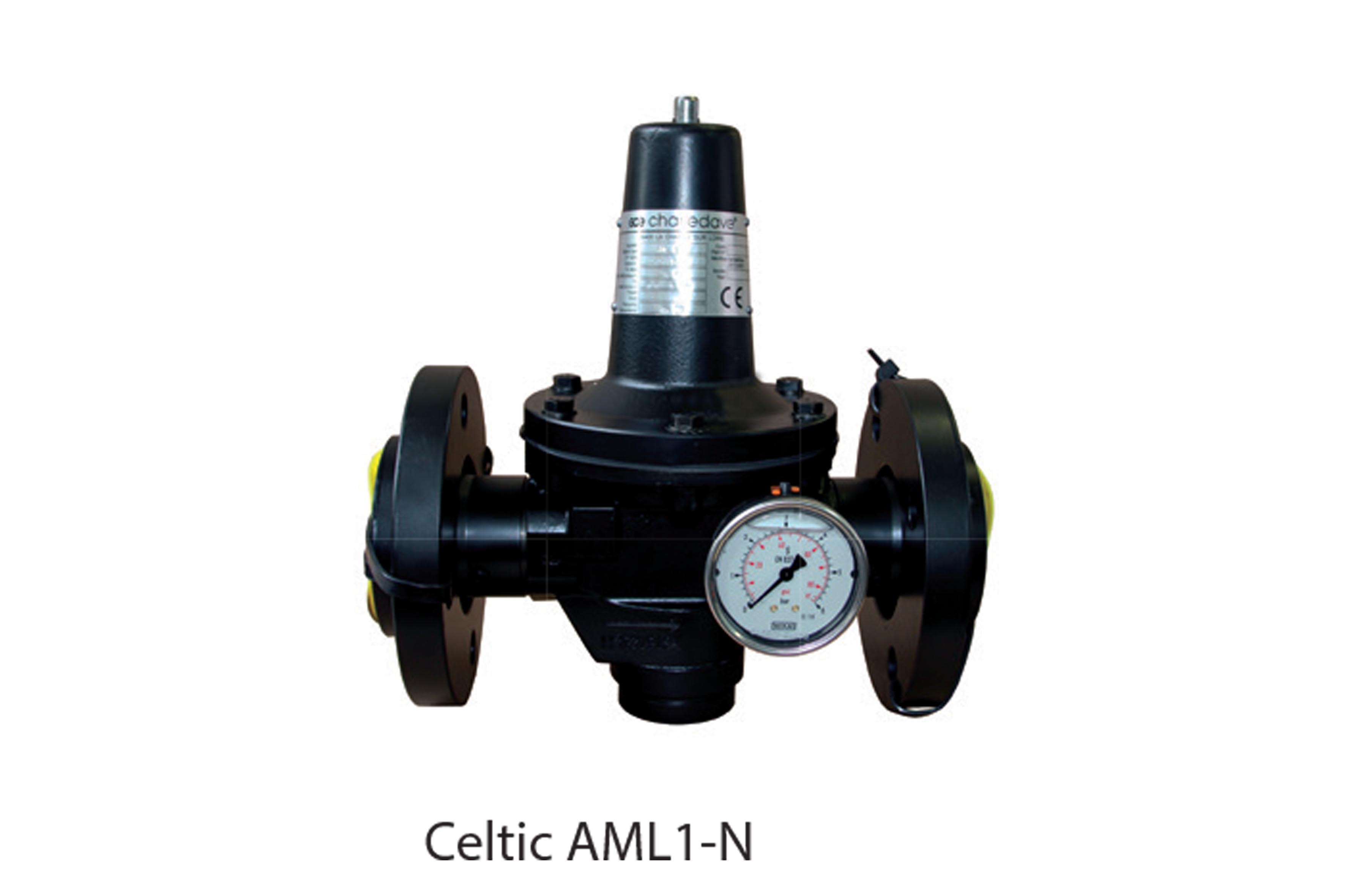 CELTIC AML1, RGCL - DIRECT REGULATORS (FIRST STAGE REGULATOR) page image